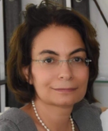 נאוה רומי, רואת חשבון